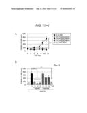 ERAP1-DERIVED PEPTIDE AND USE THEREOF diagram and image