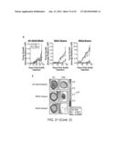 Scaffold-Kinase Interaction Blockades and Uses Thereof in Treating Cancer diagram and image