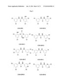 NOVEL MODULATORS OF DEVELOPMENT OF ADIPOCYTE AND CANCER CELLS diagram and image