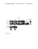 NOVEL MODULATORS OF DEVELOPMENT OF ADIPOCYTE AND CANCER CELLS diagram and image