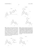 DIHYDROPYRROLO PYRIMIDINE DERIVATIVES AS MTOR INHIBITORS diagram and image