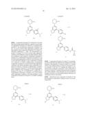 DIHYDROPYRROLO PYRIMIDINE DERIVATIVES AS MTOR INHIBITORS diagram and image