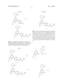 DIHYDROPYRROLO PYRIMIDINE DERIVATIVES AS MTOR INHIBITORS diagram and image