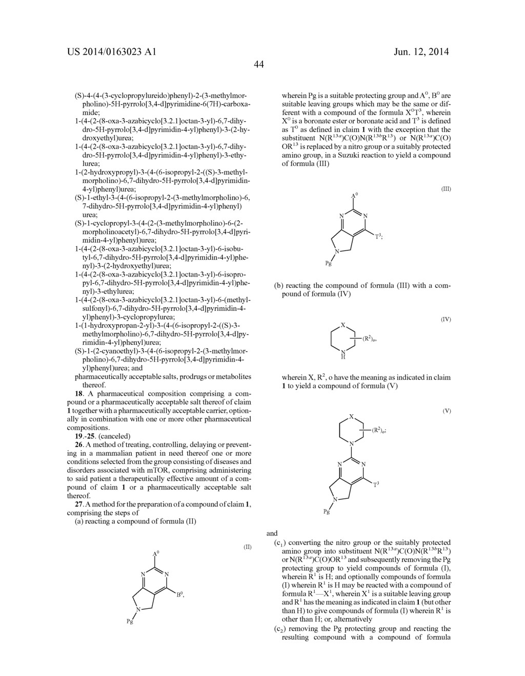 DIHYDROPYRROLO PYRIMIDINE DERIVATIVES AS MTOR INHIBITORS - diagram, schematic, and image 45