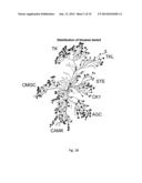 INHIBITION OF ACTIVATED CDC42-ASSOCIATED KINASE 1 diagram and image