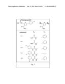 INHIBITION OF ACTIVATED CDC42-ASSOCIATED KINASE 1 diagram and image