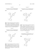 SUBSTITUTED PYRAZOLES AS N-TYPE CALCIUM CHANNEL BLOCKERS diagram and image