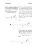 ENZYME INHIBITORS diagram and image