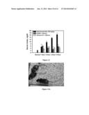 Small Molecule Xanthine Oxidase Inhibitors and Methods of Use diagram and image