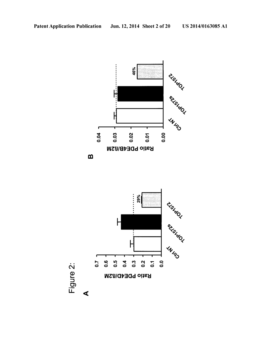 Oligonucleotide Inhibitors with Chimeric Backbone and     2-Amino-2'-Deoxyadenosine - diagram, schematic, and image 03