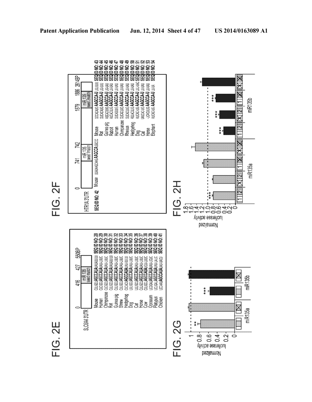 MICRO-RNAS AND COMPOSITIONS COMPRISING SAME FOR THE TREATMENT AND     DIAGNOSIS OF SEROTONIN-, ADRENALIN-, NORADRENALIN-, GLUTAMATE-, AND     CORTICOTROPIN-RELEASING HORMONE- ASSOCIATED MEDICAL CONDITIONS - diagram, schematic, and image 05