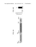 MICRO-RNAS AND COMPOSITIONS COMPRISING SAME FOR THE TREATMENT AND     DIAGNOSIS OF SEROTONIN-, ADRENALIN-, NORADRENALIN-, GLUTAMATE-, AND     CORTICOTROPIN-RELEASING HORMONE- ASSOCIATED MEDICAL CONDITIONS diagram and image