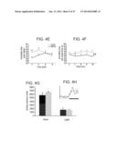 MICRO-RNAS AND COMPOSITIONS COMPRISING SAME FOR THE TREATMENT AND     DIAGNOSIS OF SEROTONIN-, ADRENALIN-, NORADRENALIN-, GLUTAMATE-, AND     CORTICOTROPIN-RELEASING HORMONE- ASSOCIATED MEDICAL CONDITIONS diagram and image