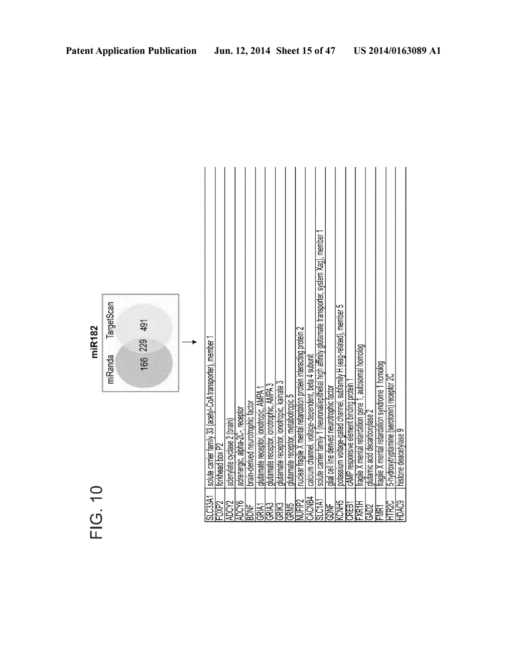 MICRO-RNAS AND COMPOSITIONS COMPRISING SAME FOR THE TREATMENT AND     DIAGNOSIS OF SEROTONIN-, ADRENALIN-, NORADRENALIN-, GLUTAMATE-, AND     CORTICOTROPIN-RELEASING HORMONE- ASSOCIATED MEDICAL CONDITIONS - diagram, schematic, and image 16