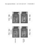 MICRO-RNAS AND COMPOSITIONS COMPRISING SAME FOR THE TREATMENT AND     DIAGNOSIS OF SEROTONIN-, ADRENALIN-, NORADRENALIN-, GLUTAMATE-, AND     CORTICOTROPIN-RELEASING HORMONE- ASSOCIATED MEDICAL CONDITIONS diagram and image