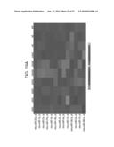 MICRO-RNAS AND COMPOSITIONS COMPRISING SAME FOR THE TREATMENT AND     DIAGNOSIS OF SEROTONIN-, ADRENALIN-, NORADRENALIN-, GLUTAMATE-, AND     CORTICOTROPIN-RELEASING HORMONE- ASSOCIATED MEDICAL CONDITIONS diagram and image