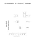 MICRO-RNAS AND COMPOSITIONS COMPRISING SAME FOR THE TREATMENT AND     DIAGNOSIS OF SEROTONIN-, ADRENALIN-, NORADRENALIN-, GLUTAMATE-, AND     CORTICOTROPIN-RELEASING HORMONE- ASSOCIATED MEDICAL CONDITIONS diagram and image