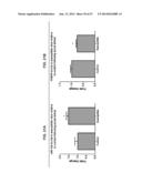 MICRO-RNAS AND COMPOSITIONS COMPRISING SAME FOR THE TREATMENT AND     DIAGNOSIS OF SEROTONIN-, ADRENALIN-, NORADRENALIN-, GLUTAMATE-, AND     CORTICOTROPIN-RELEASING HORMONE- ASSOCIATED MEDICAL CONDITIONS diagram and image