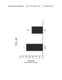 MICRO-RNAS AND COMPOSITIONS COMPRISING SAME FOR THE TREATMENT AND     DIAGNOSIS OF SEROTONIN-, ADRENALIN-, NORADRENALIN-, GLUTAMATE-, AND     CORTICOTROPIN-RELEASING HORMONE- ASSOCIATED MEDICAL CONDITIONS diagram and image