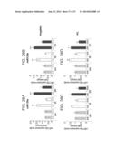 MICRO-RNAS AND COMPOSITIONS COMPRISING SAME FOR THE TREATMENT AND     DIAGNOSIS OF SEROTONIN-, ADRENALIN-, NORADRENALIN-, GLUTAMATE-, AND     CORTICOTROPIN-RELEASING HORMONE- ASSOCIATED MEDICAL CONDITIONS diagram and image