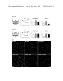 METHODS USEFUL IN THE PREVENTION OF HYPOXIC INJURY diagram and image