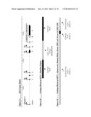 NOVEL SINGLE NUCLEOTIDE POLYMORPHISMS AND COMBINATIONS OF NOVEL AND KNOWN     POLYMORPHISMS FOR DETERMINING THE ALLELE-SPECIFIC EXPRESSION OF THE IGF2     GENE diagram and image