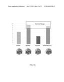 METHOD AND SYSTEM FOR ESTIMATING BRAIN CONCUSSION diagram and image