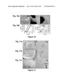 Implantable Biomedical Devices on Bioresorbable Substrates diagram and image