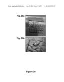 Implantable Biomedical Devices on Bioresorbable Substrates diagram and image