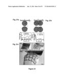 Implantable Biomedical Devices on Bioresorbable Substrates diagram and image