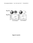 Implantable Biomedical Devices on Bioresorbable Substrates diagram and image