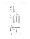 METHOD AND SYSTEM FOR LOW-LATENCY TRANSFER PROTOCOL diagram and image