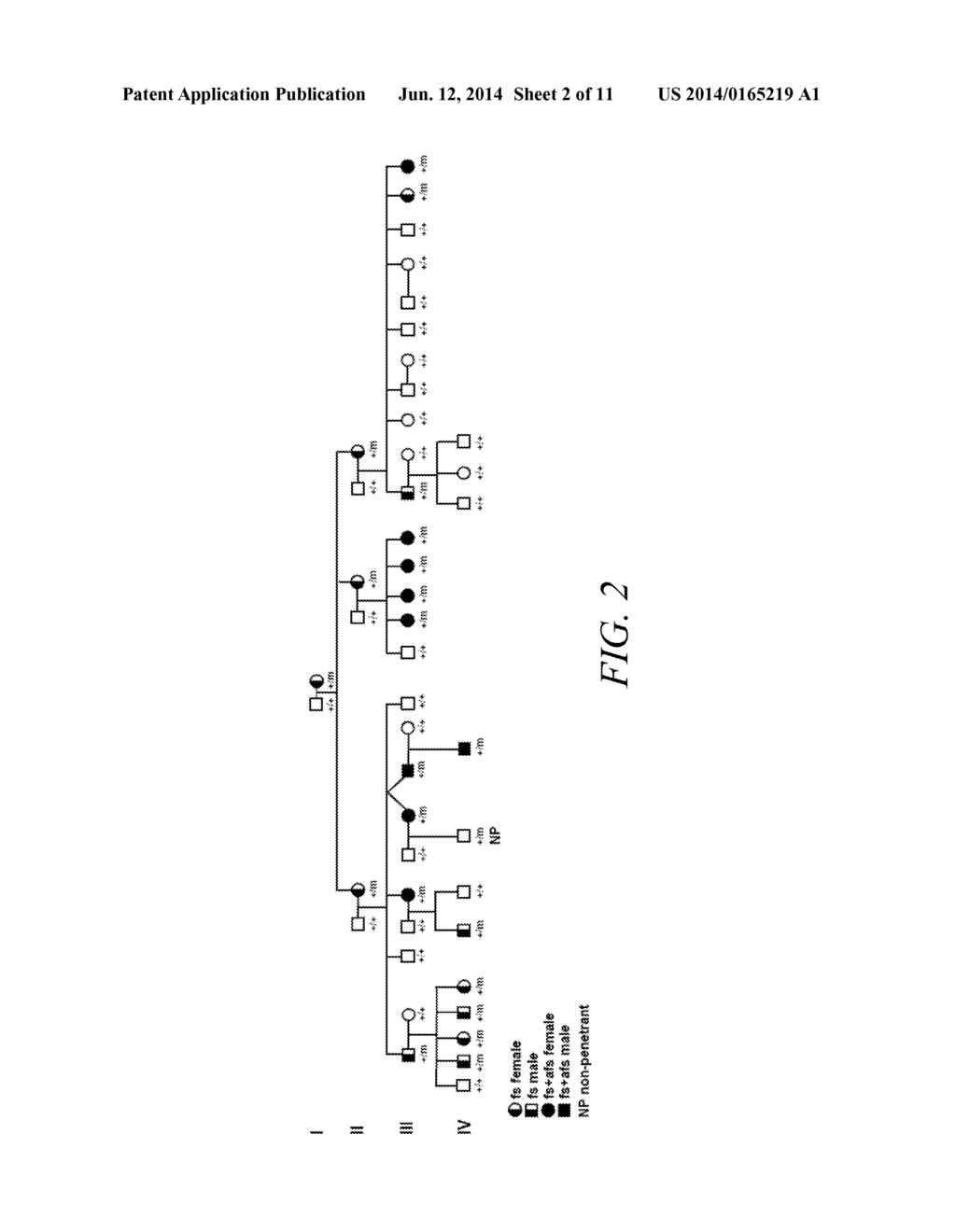 MUTANT SODIUM CHANNEL Nav1.7 AND METHODS RELATED THERETO - diagram, schematic, and image 03