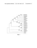 PLANT GENES ASSOCIATED WITH SEED OIL CONTENT AND METHODS OF THEIR USE diagram and image