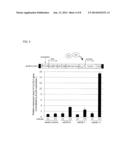 NOVEL GENE INDUCING ELONGATION OF ROOTS OR INCREASING BIOMASS, AND USE     THEREFOR diagram and image