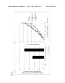 NOVEL GENE INDUCING ELONGATION OF ROOTS OR INCREASING BIOMASS, AND USE     THEREFOR diagram and image