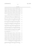 CINERARIA-DERIVED CHROMOSOMAL DNA INVOLVED IN SYNTHESIS OF FLAVONOID, AND     USE THEREOF diagram and image