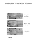 FLUID REPELLENT ELASTOMERIC BARRIER diagram and image