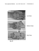 FLUID REPELLENT ELASTOMERIC BARRIER diagram and image