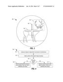 Optical Device Configured to Determine a Prey Score of Antlered Prey diagram and image