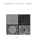 OIL EMULSIFICATION AND POLYCYCLIC AROMATIC HYDROCARBON ADSORPTION USING     FINE PARTICLES AS DISPERSANTS diagram and image