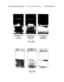 Lysine-Based Polymer Coagulants for Use in Clarification of Process Waters diagram and image