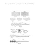 HANDHELD DEVICES AND RELATED METHODS diagram and image