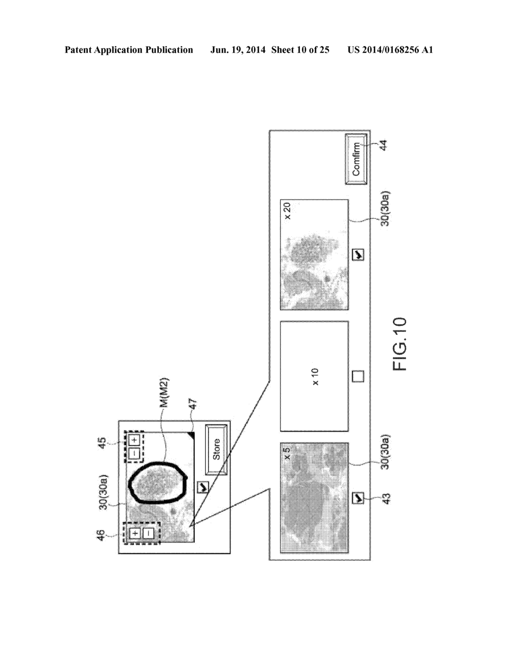 INFORMATION PROCESSING APPARATUS AND INFORMATION PROCESSING METHOD - diagram, schematic, and image 11