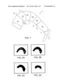 SHRIMP PROCESSING SYSTEM AND METHODS diagram and image