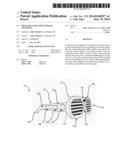 Brandable Shutter Eyewear Apparatus diagram and image