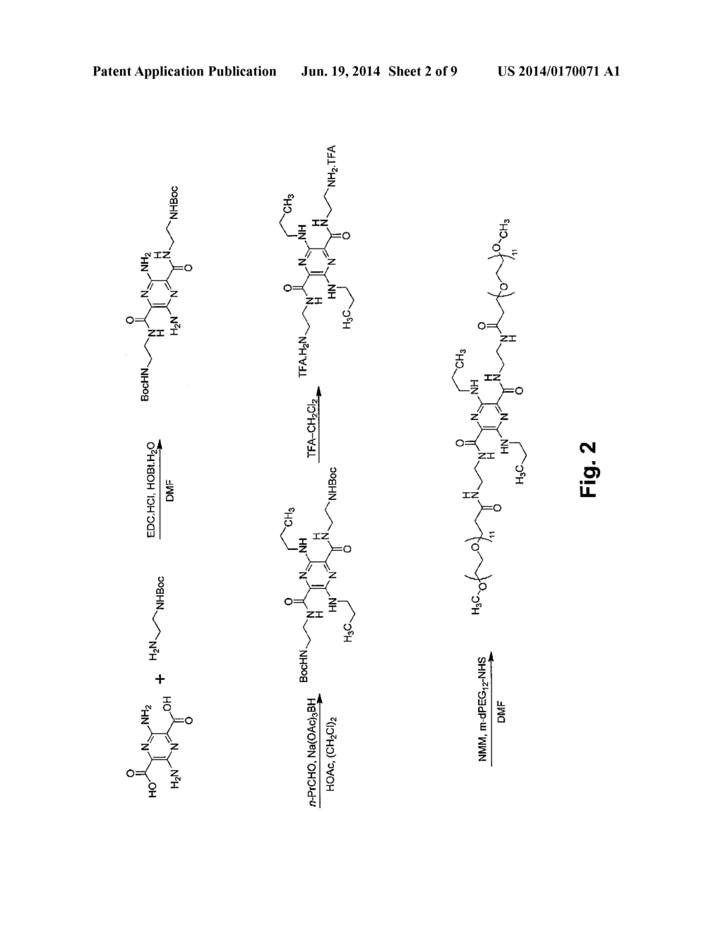 Modified Pyrazine Derivatives and Uses Thereof - diagram, schematic, and image 03