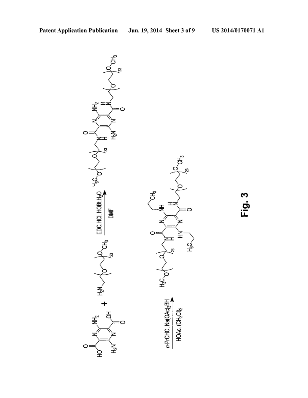 Modified Pyrazine Derivatives and Uses Thereof - diagram, schematic, and image 04