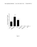 NANOPARTICULATE PROBE FOR IN VIVO MONITORING OF TISSUE OXYGENATION diagram and image