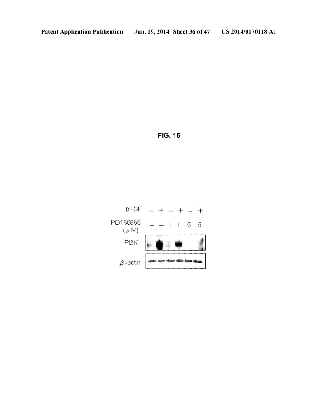 METHODS OF DIFFERENTIATING STEM CELLS BY MODULATING MIR-124 - diagram, schematic, and image 37